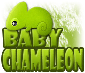 Baby Chameleon