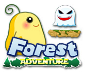 Forest Adventure