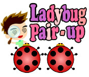 Ladybug Pair-Up