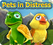 Pets in Distress