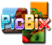 PicBix