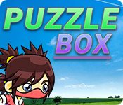 Puzzle Box