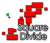 Square Divide