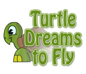 Turtle Dreams to Fly